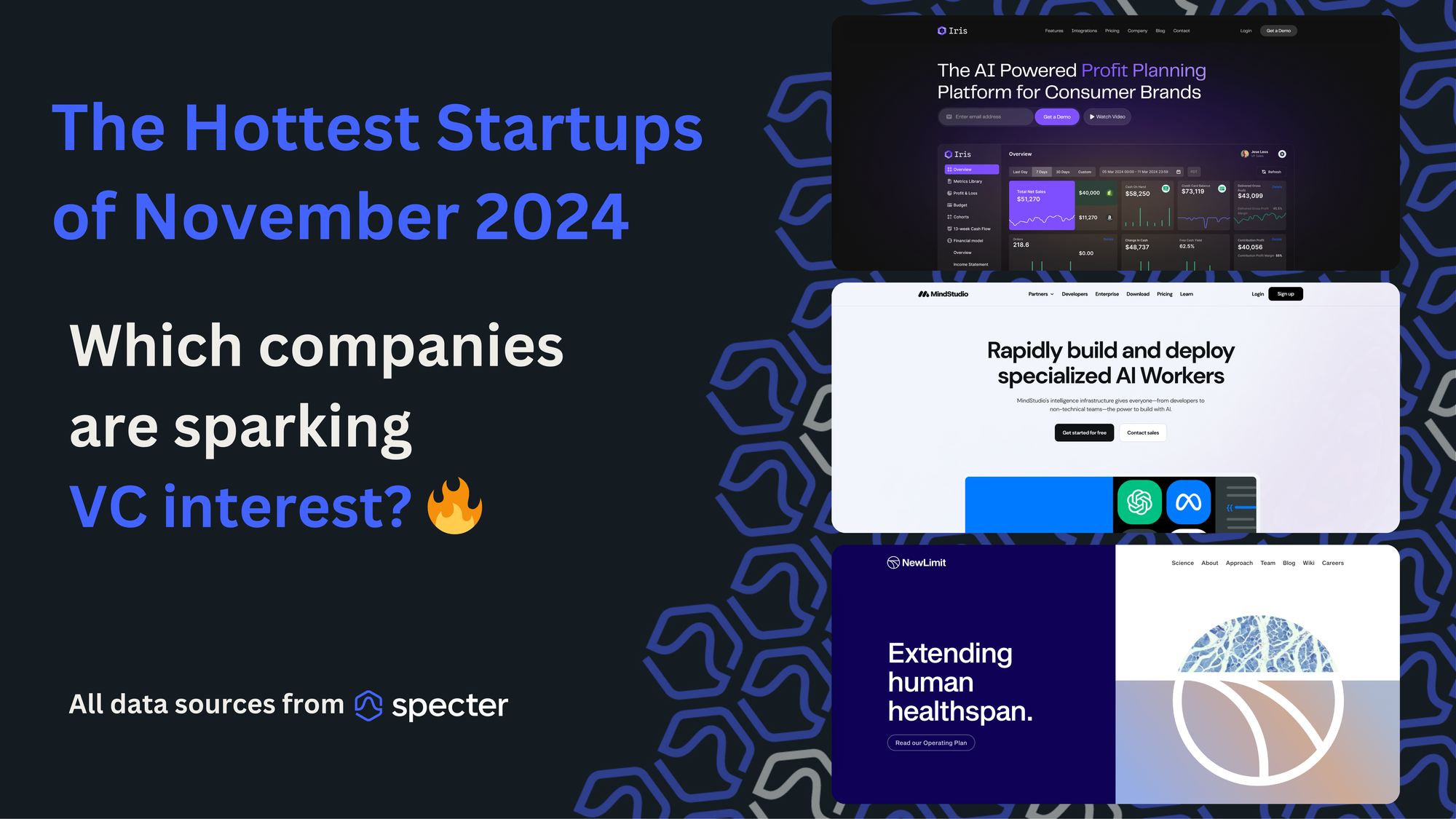 Hottest Startups - November 2024 🔥